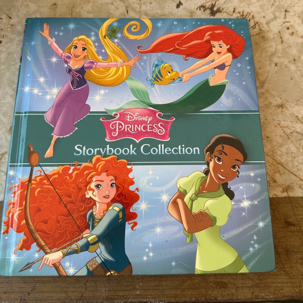 Disney Princess Storybook with Purple and Green Cover